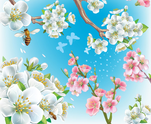 953007 (a): :2048x1685